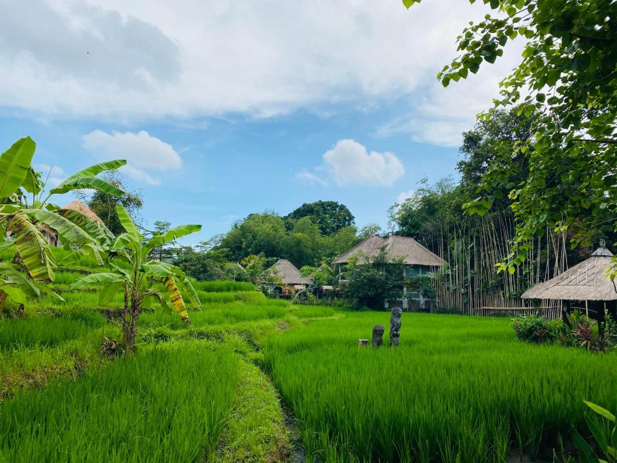 Kts Balinese Villas Canggu Extérieur photo